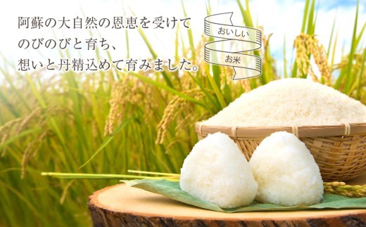 【選べる品種】 特別栽培米 ミルキークイーン 約30kg×1（玄米）約27kg×1（白米）阿蘇アグロスタイル  米 ごはん 人気 美味しい みるきーくいーん 甘味 もちもち なめらか 減農薬