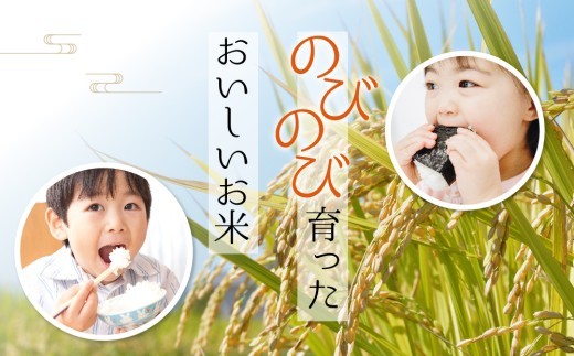 【選べる品種】 特別栽培米 ミルキークイーン 約30kg×1（玄米）約27kg×1（白米）阿蘇アグロスタイル  米 ごはん 人気 美味しい みるきーくいーん 甘味 もちもち なめらか 減農薬