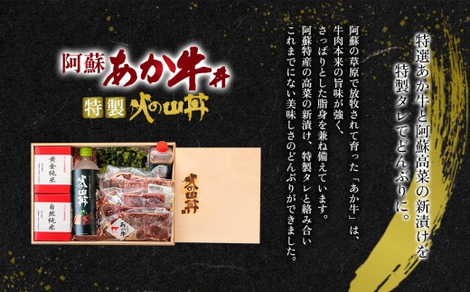 高級なお米とあか牛がコラボ!こだわりの「あか牛丼」~火の山~あか牛 ステーキ 米 水 セット 牛肉 高菜 冷凍 赤牛 あかうし 熊本 くまもと 和牛 褐色和牛 国産 赤身 贅沢 ごちそう 贈り物