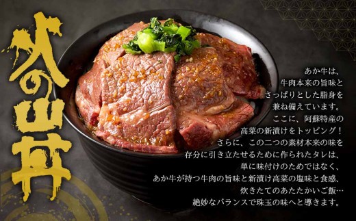 高級なお米とあか牛がコラボ!こだわりの「あか牛丼」~火の山~あか牛 ステーキ 米 水 セット 牛肉 高菜 冷凍 赤牛 あかうし 熊本 くまもと 和牛 褐色和牛 国産 赤身 贅沢 ごちそう 贈り物