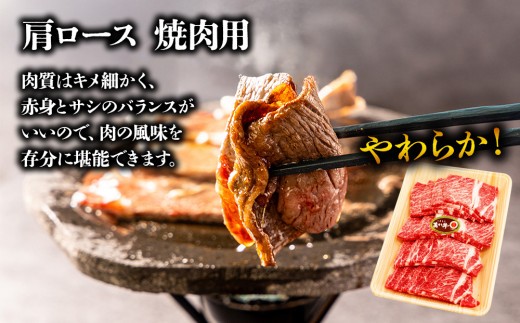 くまもとあか牛大満喫!サーロインステーキ&すき焼き&焼肉3種セット 選べる内容量 赤牛 あか牛 あかうし ふるさと納税 サーロイン ステーキ サーロインステーキすき焼き 焼肉 バーベキュー 食べ比べ