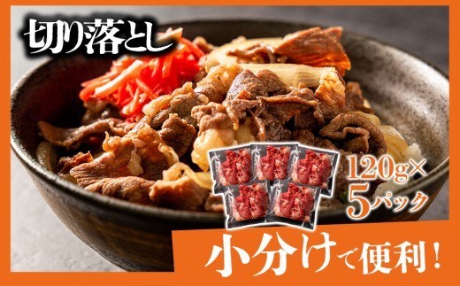 大満足 あか牛 3種詰合せ サーロインステーキ すき焼き肉 切り落とし 熊本県阿蘇産 赤身 牛肉 和牛 ブランド牛 食べ比べ セット 冷凍 1kg 贅沢 ごちそう お取り寄せ 贈り物 ギフト 贈答用
