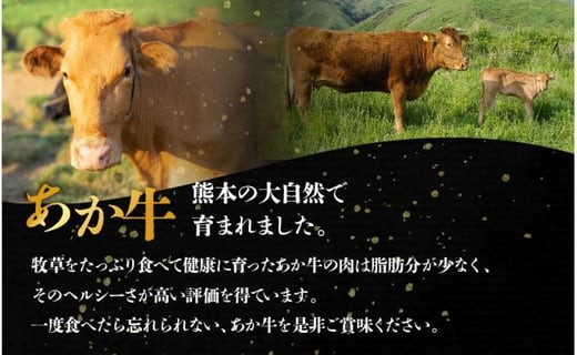 あか牛 すき焼きセット バラ モモ リブロース 1.1kg 詰め合わせ セット 贈り物 豪華 牛肉 冷凍 赤牛 あかうし 褐色和牛 熊本 くまもと 和牛 国産 赤身 贅沢 ごちそう 熊本県 阿蘇市