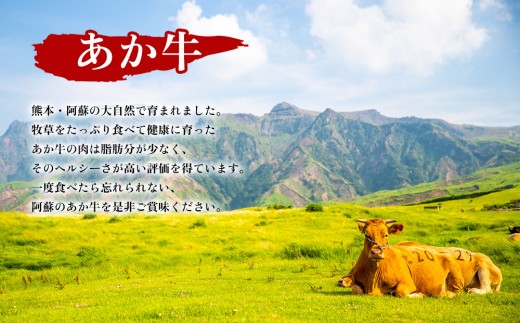 【希少和牛】あか牛 トマト煮込み 約200g 6個 約1200g 約1.2㎏ トマト 煮込み とまと煮込み 牛スジ煮込み 牛すじ煮込み 牛スジ 牛すじ 小分け 小分けパック 大容量 湯せん 湯煎