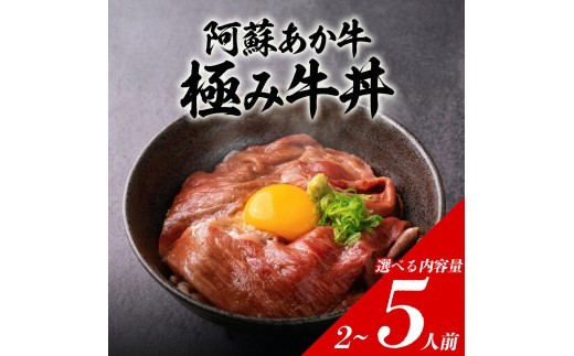 【選べる内容量】極みあか牛丼 2人前~5人前 特製タレ付き 牛肉 あか牛丼 肉 簡単 冷凍 赤牛 あかうし くまもと 褐色和牛 和牛 国産 赤身 贅沢 ごちそう おうちご飯 豪華 お取り寄せ ご当地