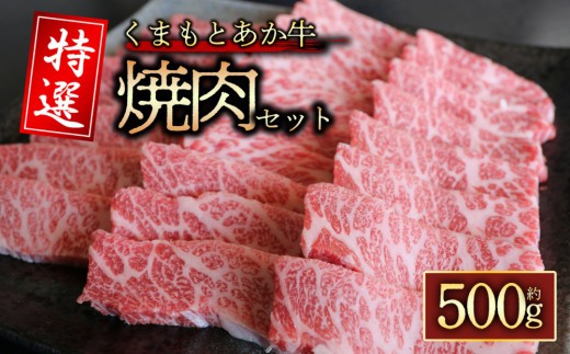 【希少和牛】あか牛 特選焼肉セット 約500g 焼肉 赤牛 あか牛 あか牛焼肉 焼き肉 やきにく あか牛焼き肉 牛焼肉 和牛 褐毛和種 人気部位 GI認証 霜降り 特選 極上 赤身 冷凍