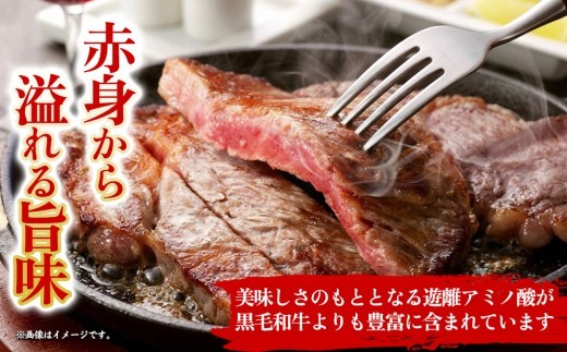 【希少和牛】あか牛 ロースステーキ 約500g 2枚 約1000g 約1kg ロース ステーキ ろーす 赤牛 あか牛 あか牛ロース あか牛ステーキ ロース肉 牛ロース 和牛 褐毛和種 大人気部位 人気