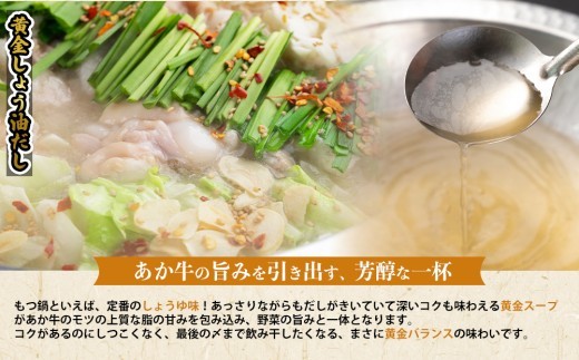 【希少和牛】あか牛 もつ鍋 4人前 もつ モツ ホルモン 赤牛 あか牛 あか牛モツ あか牛ホルモン 鍋 鍋セット 牛ホルモン 和牛 褐毛和種 大人気部位 人気部位 極上 しょうゆ 醤油 しょう油 みそ