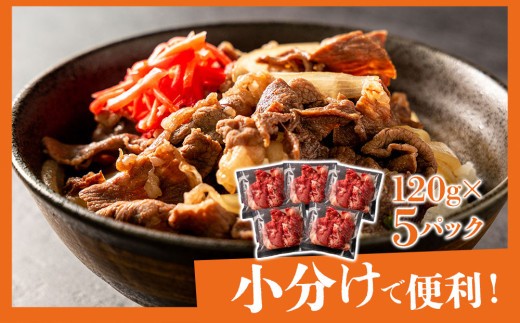 【希少和牛】あか牛 切り落とし 約120g 5パック 約600g 赤牛 あか牛 あか牛切り落とし 牛切り落とし 牛肉切り落とし 和牛切り落とし 和牛 褐毛和種 小分け 真空 極上 赤身 冷凍 熊本県