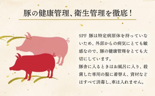 なでしこポーク(SPF豚)しゃぶしゃぶセット 2kg 豚肉 しゃぶしゃぶ 鍋 阿蘇 ロース バラ スライス セット 2000g 冷凍 阿蘇産 お取り寄せ ごちそう ギフト 贈り物 豪華 おうちごはん