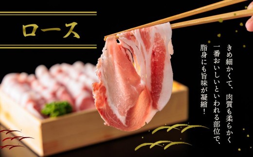なでしこポーク(SPF豚)しゃぶしゃぶセット 2kg 豚肉 しゃぶしゃぶ 鍋 阿蘇 ロース バラ スライス セット 2000g 冷凍 阿蘇産 お取り寄せ ごちそう ギフト 贈り物 豪華 おうちごはん