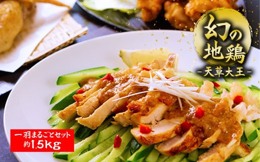 希少!くまもと地鶏 天草大王 一羽まるごとセット