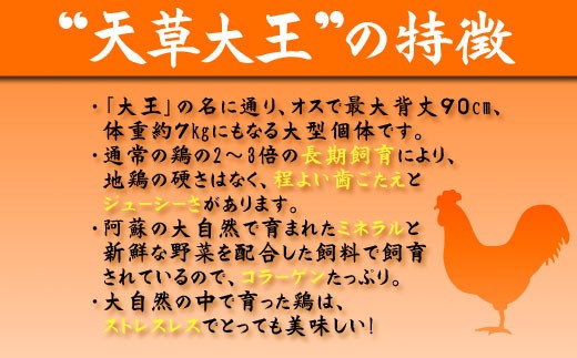 希少！くまもと地鶏　天草大王　むね肉　1kg