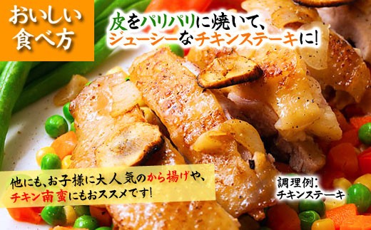 希少！くまもと地鶏　天草大王　もも肉　1kg