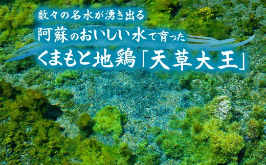 希少！くまもと地鶏　天草大王　もも肉　1kg