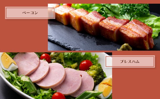 【金賞受賞】5種 ハム ソーセージ セット ハム・ソーセージ ハムソーセージ詰め合わせ ウインナー ウインナーソーセージ プレスハム ベーコン べーこん ベーコンブロック ベーコンセット