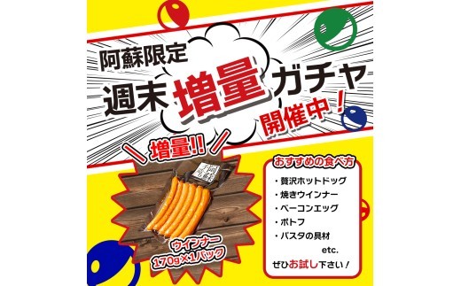 【金賞受賞】ウインナー セット 約170g 4パック 約680g ウインナー ウィンナー ういんなー ウインナーソーセージ ウインナーセット ウインナー詰め合わせ ソーセージセット