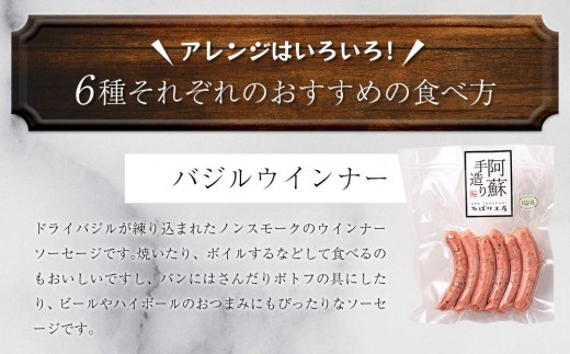 本場ドイツ食肉コンテストsuffa★金賞受賞★ ”阿蘇手造り ハム・ソーセージ詰合せ（ふるさとセット）ver.2” どんな料理も一味ランクアップ♪ ベーコンブロック フランクフルト プレスハム