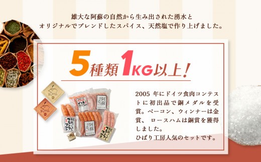 【金賞受賞】5種  ソーセージ 詰め合わせ 約1.1kg ソーセージ そーせーじ ウインナー ういんなー ウインナーソーセージ ソーセージセット フランクフルト ふらんくふると マスタード ますたーど
