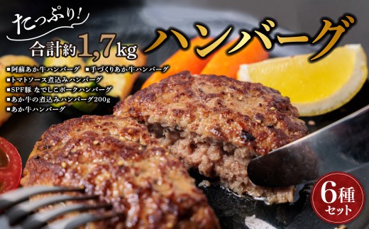 希少なお肉を使用した贅沢ハンバーグ！ ”ハンバーグ セットver.2” 6種 合計14個をセットにしました！国産和牛と国産豚肉を使用したうま味たっぷりハンバーグ！ 熊本ブランド和牛 あか牛 赤牛