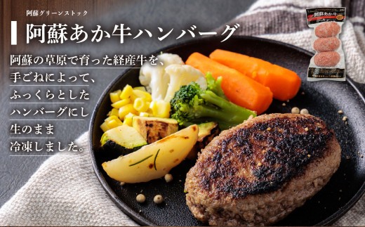 希少なお肉を使用した贅沢ハンバーグ！ ”ハンバーグ セットver.2” 6種 合計14個をセットにしました！国産和牛と国産豚肉を使用したうま味たっぷりハンバーグ！ 熊本ブランド和牛 あか牛 赤牛
