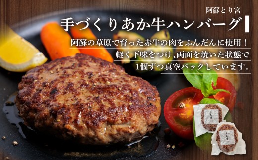 希少なお肉を使用した贅沢ハンバーグ！ ”ハンバーグ セットver.2” 6種 合計14個をセットにしました！国産和牛と国産豚肉を使用したうま味たっぷりハンバーグ！ 熊本ブランド和牛 あか牛 赤牛