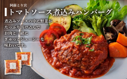 希少なお肉を使用した贅沢ハンバーグ！ ”ハンバーグ セットver.2” 6種 合計14個をセットにしました！国産和牛と国産豚肉を使用したうま味たっぷりハンバーグ！ 熊本ブランド和牛 あか牛 赤牛