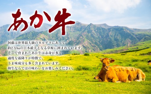 いまきん食堂の「あか牛和風ハンバーグ5個・10個セット」 あか牛 ハンバーグ 和風ハンバーグ いまきん食堂 ふるさと納税 ハンバーグセット 5個 10個 レトルト  肉 牛 簡単調理 特製 湯煎