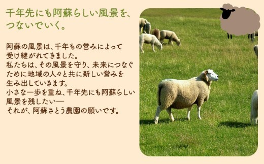 阿蘇地域で生産した貴重な国産羊肉のジンギスカン！　　国産羊肉 ジンギスカン 熊本特産 晩白柚風味  羊肉レシピ 簡単調理 焼くだけ 本格ジンギスカン  熊本グルメ ご当地グルメ 特製漬け込み