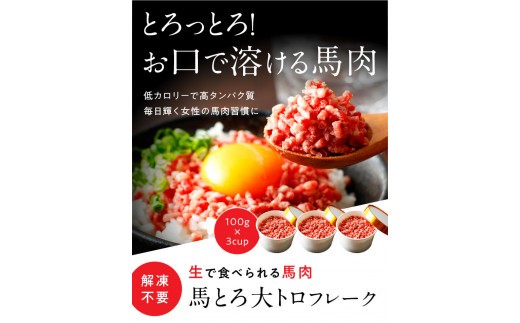 【小分け】大トロ フレーク 約100g 3カップ 約300g 大トロ 馬刺し 大トロ馬刺し 大とろ おおとろ 馬トロ 馬とろ 国産 馬刺 ばさし basashi 霜降り 霜降 しもふり 霜降り馬刺し