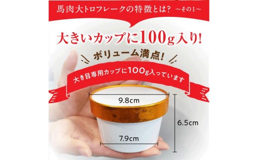 【小分け】大トロ フレーク 約100g 3カップ 約300g 大トロ 馬刺し 大トロ馬刺し 大とろ おおとろ 馬トロ 馬とろ 国産 馬刺 ばさし basashi 霜降り 霜降 しもふり 霜降り馬刺し