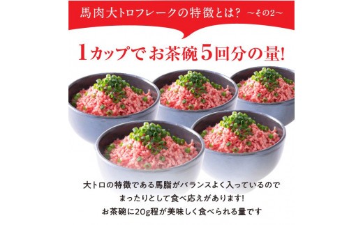 【小分け】大トロ フレーク 約100g 3カップ 約300g 大トロ 馬刺し 大トロ馬刺し 大とろ おおとろ 馬トロ 馬とろ 国産 馬刺 ばさし basashi 霜降り 霜降 しもふり 霜降り馬刺し