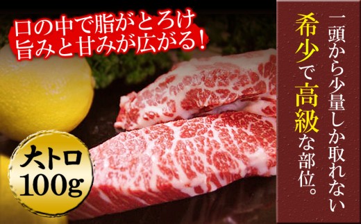【小分け】3種 馬刺し セット 約100g 3パック 計300g 馬刺しセット 馬刺し 馬刺 ばさし basashi 熊本馬刺し 赤身馬刺し 馬肉 ばにく 赤身 赤身馬刺し 上赤身 上赤身馬刺し