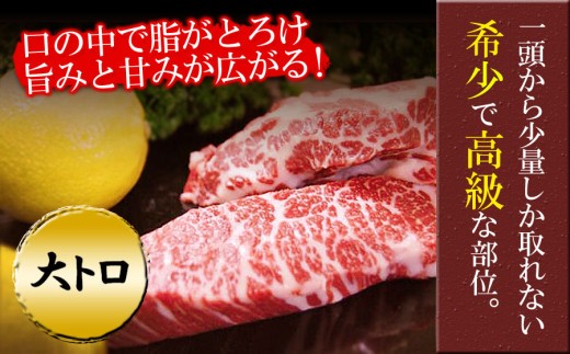 【小分け】大トロ馬刺し 約200g 大トロ 馬刺し 馬刺し 大とろ おおとろ 馬トロ 馬とろ 国産 馬刺 ばさし basashi 霜降り 霜降 しもふり 霜降り馬刺し 霜降馬刺し 赤身ブロック 大トロ