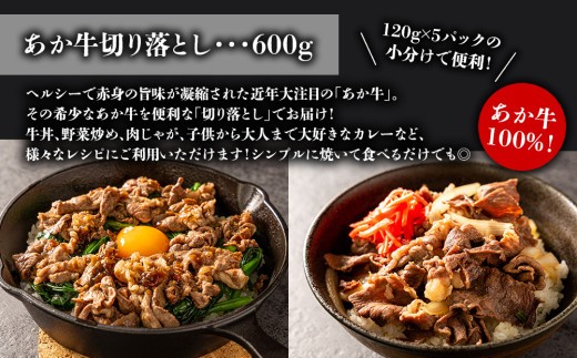 【熊本特産品】あか牛 馬刺し セット 計1㎏ 赤身馬刺し 赤身馬刺しセット 馬刺しセット ばさし basashi 熊本馬刺し 国産馬刺し 馬肉 ばにく 馬肉セット 馬 赤身馬肉 あか牛 赤牛 あかうし