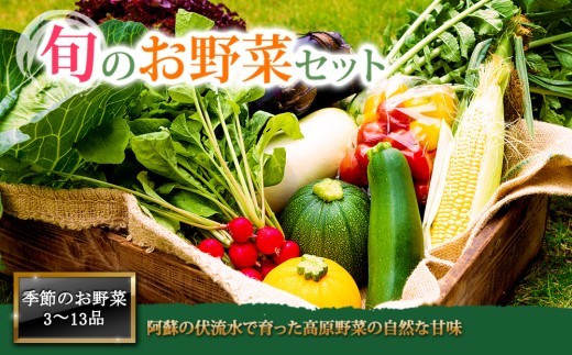【選べる内容量】<畑から直送>季節のお野菜セットをお届け! 旬のお野菜の中から3~13品を厳選♪(S・M・L・XLサイズ) 野菜 新鮮 野菜セット 農家直送 産地直送 野菜 厳選