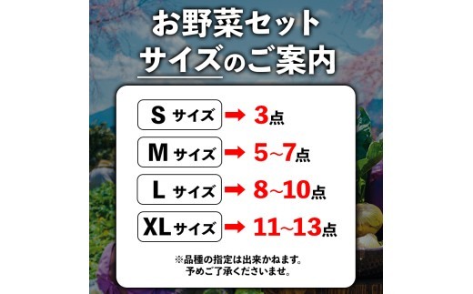 【選べる内容量】<畑から直送>季節のお野菜セットをお届け! 旬のお野菜の中から3~13品を厳選♪(S・M・L・XLサイズ) 野菜 新鮮 野菜セット 農家直送 産地直送 野菜 厳選