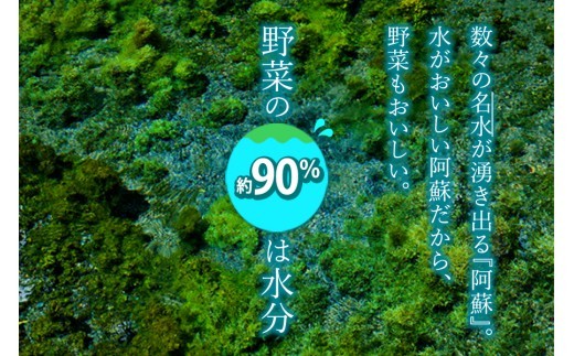 【選べる内容量】<畑から直送>季節のお野菜セットをお届け! 旬のお野菜の中から3~13品を厳選♪(S・M・L・XLサイズ) 野菜 新鮮 野菜セット 農家直送 産地直送 野菜 厳選