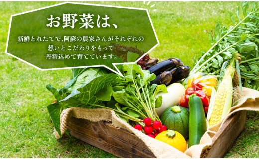 本場ドイツ食肉コンテストsuffa★金賞受賞★ ”季節のお野菜とひばり工房3大人気セットver.2” どんな料理も一味ランクアップ♪ ひばり工房 お野菜セット 旬の野菜 5～10品