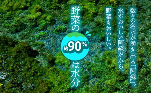 【選べる回数】【定期便】<畑から直送>季節のお野菜セット Mサイズをお届け♪ 3回 6回 12回 定期便 野菜 新鮮 野菜セット 定期便 農家直送 産地直送 野菜 厳選 こだわり