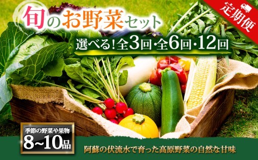 【選べる回数【定期便】＜畑から直送＞季節のお野菜セット Lサイズ8～10品をお届け♪ 3回 6回 12回　定期便 野菜 新鮮 野菜セット 定期便 農家直送 産地直送 野菜 厳選 こだわり