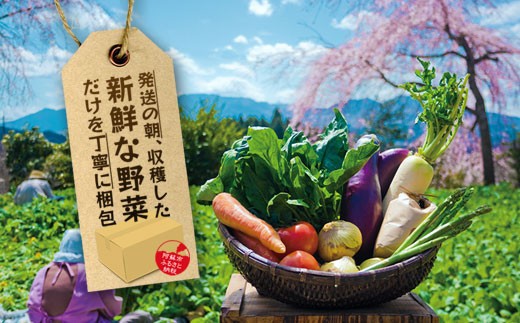 【選べる回数【定期便】＜畑から直送＞季節のお野菜セット Lサイズ8～10品をお届け♪ 3回 6回 12回　定期便 野菜 新鮮 野菜セット 定期便 農家直送 産地直送 野菜 厳選 こだわり