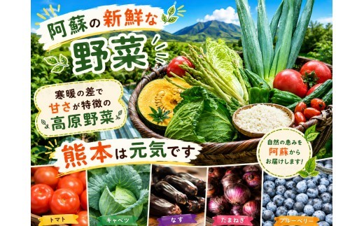 【選べる回数】【阿蘇 郷乃舎】阿蘇高原 農家直送こだわり野菜と阿蘇特産品セット お野菜 6~8品 or 8~10品 ＋ASOMILK のむヨーグルト1回 または お野菜 6~8品定期便全3回