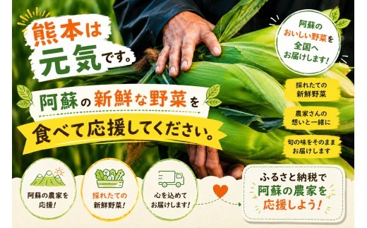 【選べる回数】【阿蘇 郷乃舎】阿蘇高原 農家直送こだわり野菜と阿蘇特産品セット お野菜 6~8品 or 8~10品 ＋ASOMILK のむヨーグルト1回 または お野菜 6~8品定期便全3回