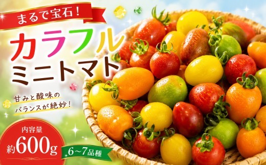 【ふるさと納税】まるで宝石 カラフルミニトマト～ふるさとセット～ 約600g×1箱 期間限定 数量限定 予約受付 甘い おいしい お取り寄せ 熊本県阿蘇市