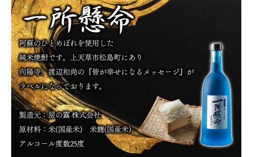 米焼酎「一所懸命」「説法焼酎」2種セット 720ml×2 1440ml 飲み比べ アルコール 米 米焼酎 本格米焼酎 ギフト 贈り物 晩酌 美味しい スッキリ 辛口 熊本県 阿蘇市