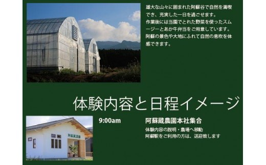 阿蘇蔵農園 阿蘇のカルデラで農業体験&お散歩 野菜スムージー・お弁当あり 送迎あり 1口(1名分) 旅行 アクティビティ リフレッシュ ストレス解消