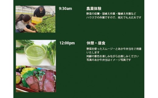 阿蘇蔵農園 阿蘇のカルデラで農業体験&お散歩 野菜スムージー・お弁当あり 送迎あり 1口(1名分) 旅行 アクティビティ リフレッシュ ストレス解消