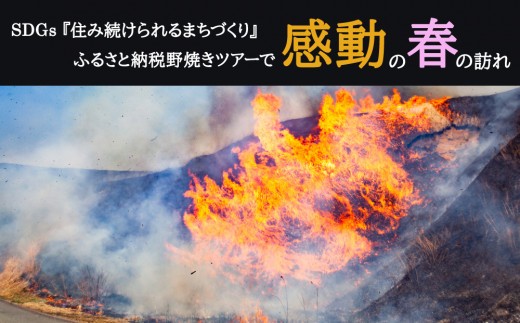 阿蘇市野焼き体験ツアー 野焼き ツアー 体験 イベント SDGs ボランティア 最優秀賞 中学生考案 自然 草原 保護 草原の守り人 グリーン 雄大 サステナブル 自然景観 熊本県 阿蘇市