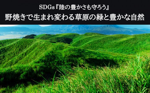阿蘇市野焼き体験ツアー 野焼き ツアー 体験 イベント SDGs ボランティア 最優秀賞 中学生考案 自然 草原 保護 草原の守り人 グリーン 雄大 サステナブル 自然景観 熊本県 阿蘇市
